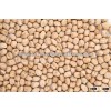 Fresh Indian Chickpeas with 11mm