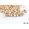 Buy Fresh Quality Chickpeas with 10mm