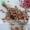 Chinese Light Speckled Kidney Beans Market Price