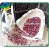 Chinese Small Red Kidney Beans(Adzuki beans)