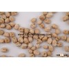 Today Indian Chickpeas Market Price