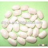 JSX food grade White kidney bean excellent Chinese white bean exporter