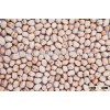 best quality 12 mm chickpeas from India