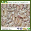 LIGHT SPECKLED KIDNEY BEAN SUGAR BEAN 2014 NEW PRODUCTS CHINA SUPPLIER