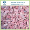 Hot Frozen Red Kidney Beans For Sale