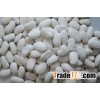 white kidney beans with high quality