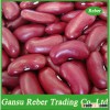 new crop DRKB/Dark Red Kidney Beans Shanxi Origin size 180-200pcs/100gRAJMA