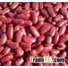 Pure Natural Organic small red kidney beans
