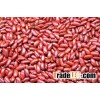 2015 High Quality Dark Red Kidney Beans,Kidney Beans