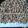 Light speckled kidney beans for export