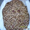 2015 Long Shape Light Speckled Kidney Bean / LSKB , Bulk factory supply