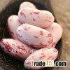 long shape light speckled kidney bean 2011