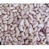 Light Speckled Kidney Beans ( Recent crop )