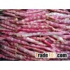 red and white kidney beans for sale