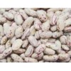 light Speckled Kidney Beans (180-200pcs/100grams)