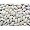 Chinese yunnan Large White Kidney beans