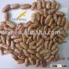 light speckled kidney bean/LSKB