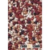 Dry Beans