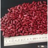 British Red Kidney Beans,Dark Red Kidney Bean