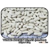 White Kidney Beans (Medium)