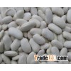 Ne season white kidney beans