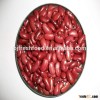 Red kidney bean for sale