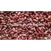 Red Speckled Kidney Bean