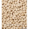 Chinese good quality white kidney bean,navy bean