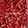 new crop red kidney beans price