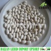 Supplying High Quality Japanese Type White Beans,New Crop