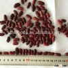 Export Dark red kidney bean with Ethiopian Red Kidney Beans