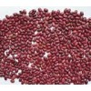 Pure Natural Organic small red kidney beans