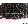 Black bean