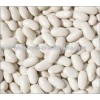 White Kidney Beans Long shape