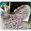 Chinese Light Speckled Kidney beans American Round for Europ