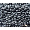 BLACK KIDNEY BEANS, KIDNEY RED BEANS FOR SALE