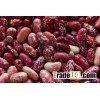 2016 Crop Kidney Beans Dark Red