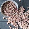 The top popular America round Light speckled kidney bean different types of pulses