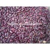 purple speckled kidney bean