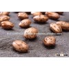 Dry Pinto Beans