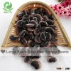 Dark purple speckled kidney beans pinto bean