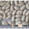 100% Natural White Kidney Bean / P.E. 5:1