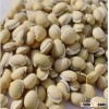 White beans