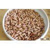 Sugar Beans- High Quality