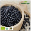 round shape good price black beans/ organic black kidney beans
