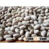 price of white kidney beans