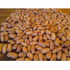 New Crop Dry Red Speckled Sugar Beans