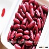 Dark Red Kidney Beans British Type,British Red Kidney Beans