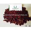 Red Kidney Beans