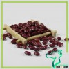 Chinese Small Square Red Kidney Beans
